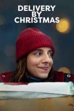 Watch Delivery by Christmas FMoviesFree