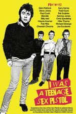 Watch I Was a Teenage Sex Pistol FMoviesFree