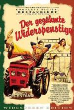 Watch The Taming of the Scoundrel FMoviesFree