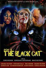 Watch POE 4: The Black Cat FMoviesFree