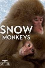 Watch Nature: Snow Monkeys FMoviesFree