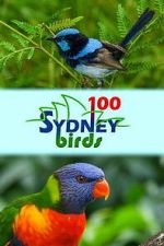 Watch 100 Sydney Birds FMoviesFree