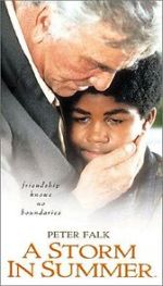 Watch A Storm in Summer FMoviesFree