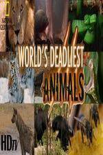 Watch National Geographic - Worlds Deadliest Animal Battles FMoviesFree