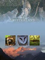 Watch Wilde Schweiz FMoviesFree