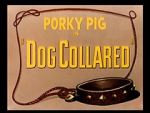 Watch Dog Collared (Short 1950) FMoviesFree