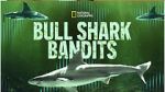 Watch Bull Shark Bandits FMoviesFree
