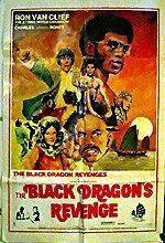 Watch The Black Dragon's Revenge FMoviesFree