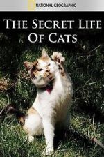 Watch The Secret Life of Cats FMoviesFree