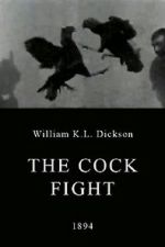 Watch The Cock Fight FMoviesFree
