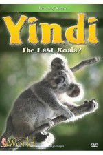 Watch Yindi the Last Koala FMoviesFree