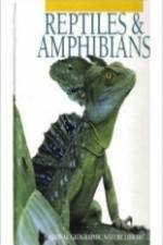 Watch Reptiles and Amphibians FMoviesFree