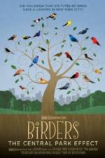 Watch Birders The Central Park Effect FMoviesFree