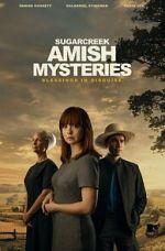 Watch Sugarcreek Amish Mysteries: Blessings in Disguise FMoviesFree
