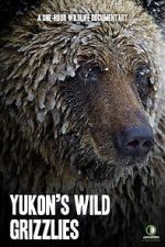 Watch Yukon\'s Wild Grizzlies FMoviesFree