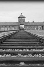 Watch AUSCHWITZ: ORDERS AND INITIATIVES FMoviesFree