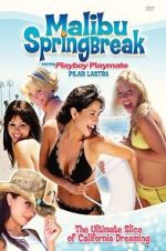 Watch Malibu Spring Break FMoviesFree