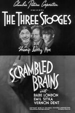 Watch Scrambled Brains FMoviesFree