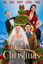 Watch A Ring for Christmas FMoviesFree