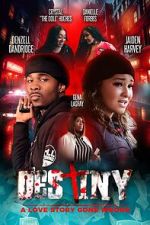 Watch Destiny: A Love Story Gone Wrong FMoviesFree
