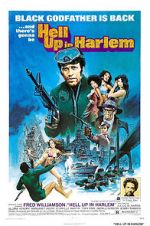 Watch Hell Up in Harlem FMoviesFree