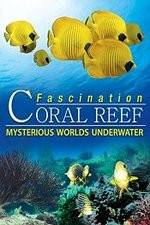 Watch Fascination Coral Reef: Mysterious Worlds Underwater FMoviesFree