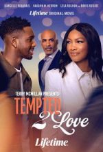 Watch Terry McMillan Presents: Tempted 2 Love FMoviesFree