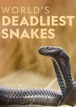 Watch World's Deadliest Snakes FMoviesFree