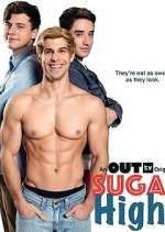 Watch Sugar Highs FMoviesFree