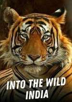 Watch Into the Wild India FMoviesFree