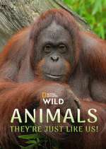 Watch Animals, They\'re Just Like Us! FMoviesFree