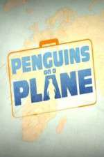 Watch Penguins on a Plane FMoviesFree