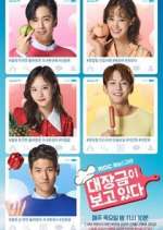 Watch Dae Jang Geum Is Watching FMoviesFree