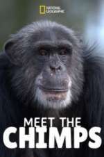 Watch Meet the Chimps FMoviesFree