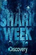 Watch Shark Week FMoviesFree