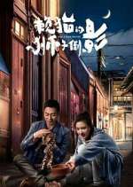 Watch The Lion's Secret FMoviesFree