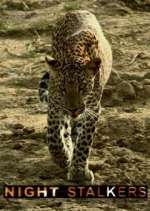 Watch Night Stalkers FMoviesFree