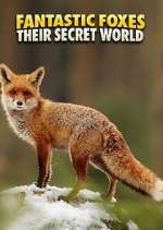 Watch Fantastic Foxes: Their Secret World FMoviesFree