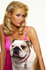 Watch Paris Hilton's British Best Friend FMoviesFree
