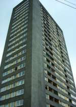 Watch High Times FMoviesFree