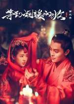 Watch Buried City to Shut All Lights FMoviesFree