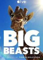 Watch Big Beasts FMoviesFree