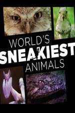 Watch World's Sneakiest Animals FMoviesFree
