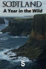 Watch Scotland: A Wild Year FMoviesFree