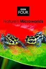 Watch Natures Microworlds FMoviesFree