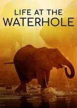 Watch Life at the Waterhole FMoviesFree