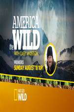 Watch America the Wild FMoviesFree
