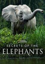 Watch Secrets of the Elephants FMoviesFree
