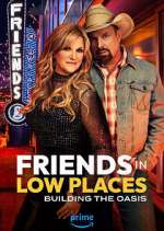 Watch Friends in Low Places FMoviesFree
