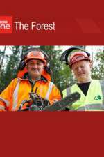 Watch The Forest FMoviesFree